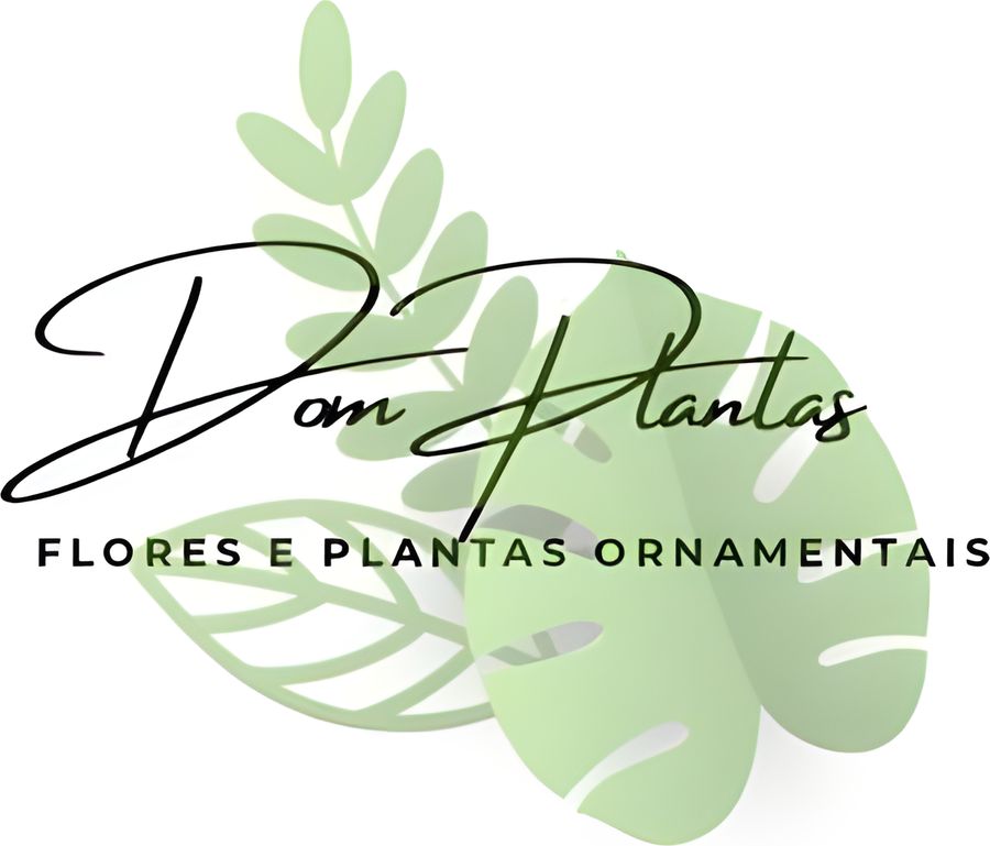 Dom Plantas, flores e plantas ornamentais